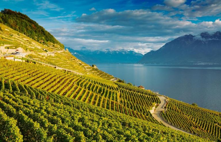Lemam Découverte du lac Léman : Plaisirs nautiques et panoramas à couper le ...